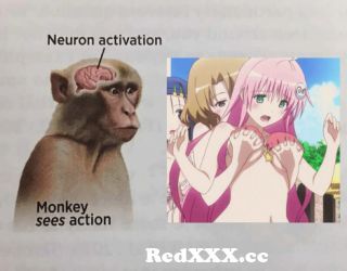 Monke brain during ecchi anime (nsfw ver.) from kakashi hentai ...